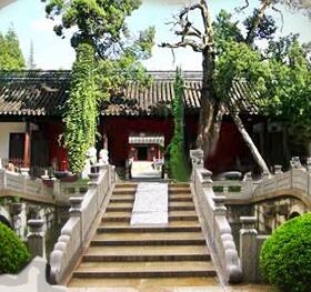 上海市嘉定區人民政府改版上線專題
